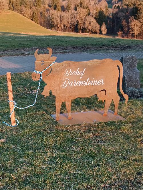 Hofschild