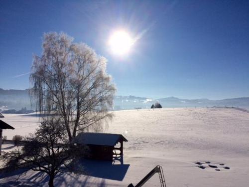 Idylle im Winter