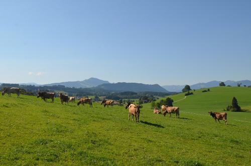 unbeschreiblicher Ausblick