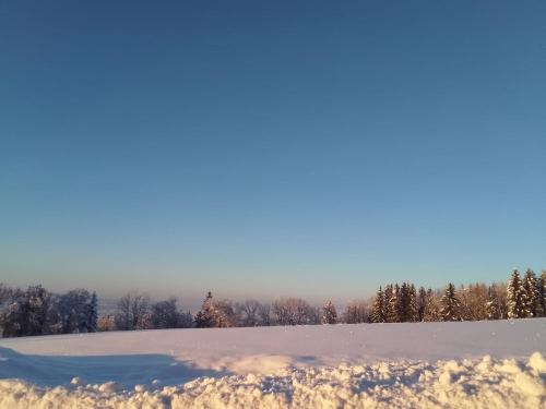 f6590008-bf9d-457e-9dee-ca02bf403a43