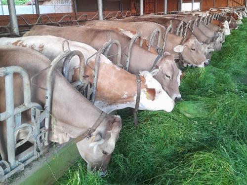 a4964140-88f7-4a6e-ba22-1433ab40b50e