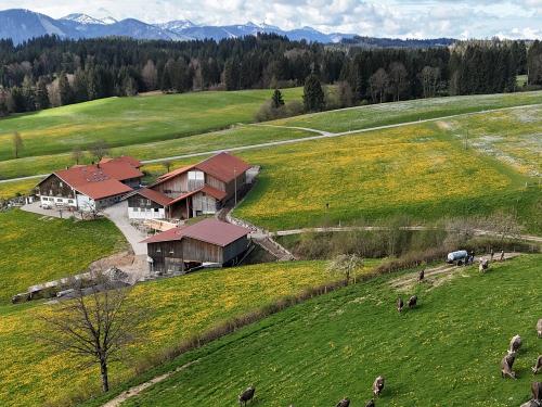 dji_fly_20250422_094858_0099_1745309219094_photo