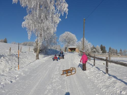 Schlittenbahn