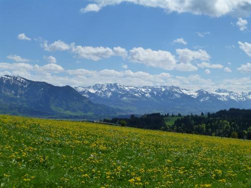 Blick vom Haus
