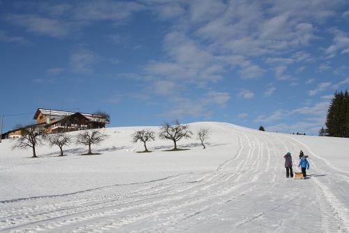 Spass im Winter
