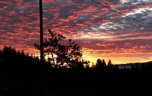 20190910_064417_ausschnitt_4128x2618