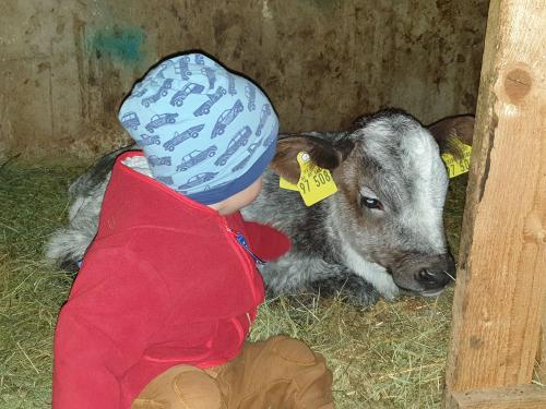 Kälberglück selbst für die Kleinsten