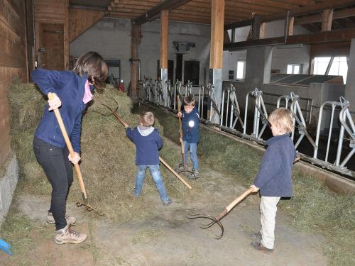 Mitarbeit bei der täglichen Stallarbeit