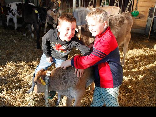kaelber_kinder01