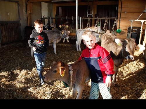 kaelber_kinder