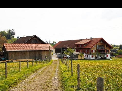 hof01