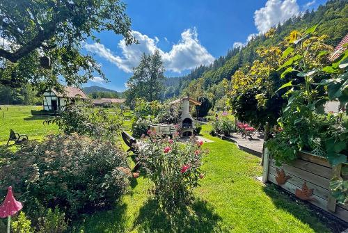 offener Gartenrundblick