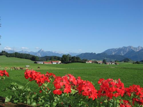 Welch ein Ausblick vom Balkon