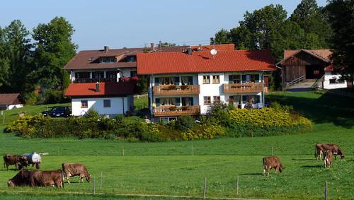 Unser Ferienhaus