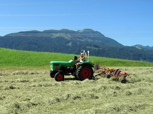 Heuernte im Sommer