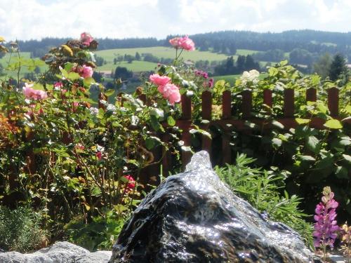 Eine Quelle der Natur