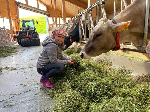 Beim Füttern der Tiere helfen