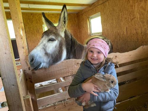 Die Tiere streicheln
