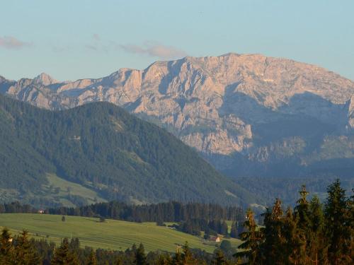 Schatten Steinbock Schatten Steinbock