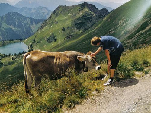 Wandern im Allgäu
