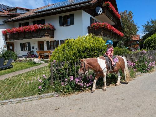 Ponyreiten