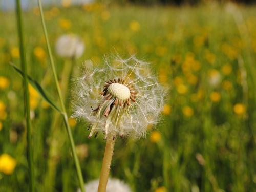 auszeit-freudeankleinendingen