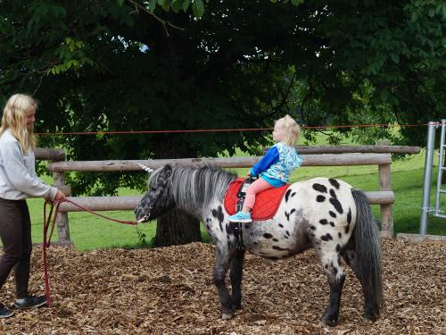 ponyreiten