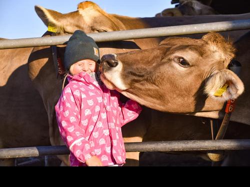 tierliebe