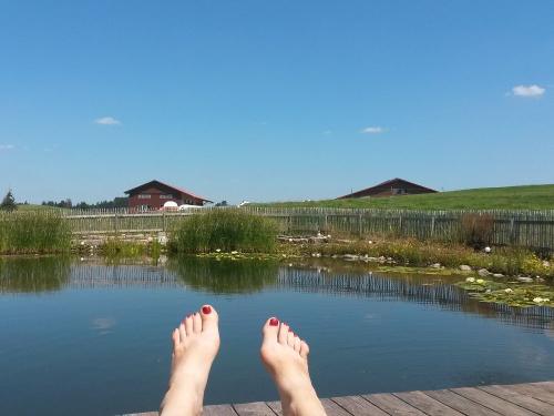 amteich