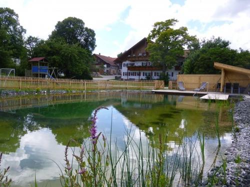 hausmitschwimmteich