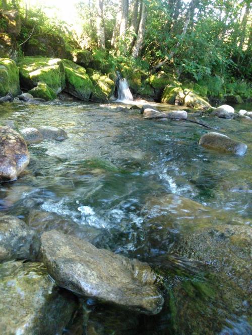 img-20160710-wa0000