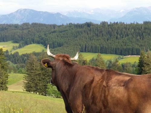 traumhafter Ausblick