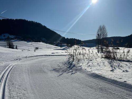 Loipe direkt ab Hof