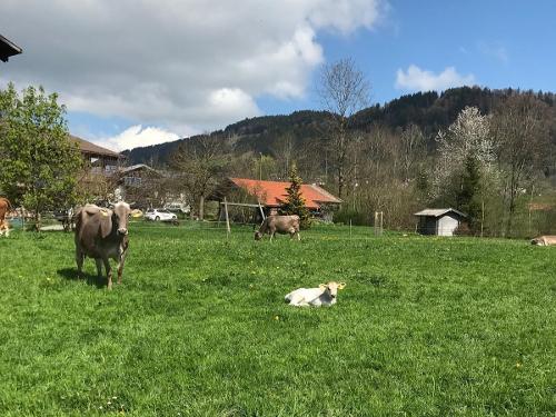 Sommer, Sonne, Sonnenschein