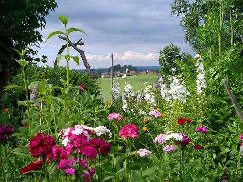 Was uns auszeichnet- unser Garten