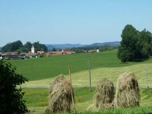 blicknachellhofen