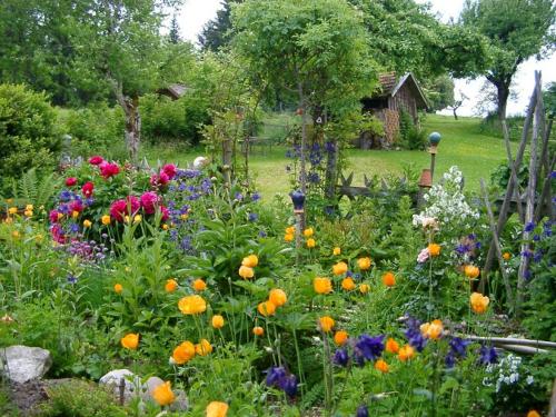 bauerngartenmitkrutern