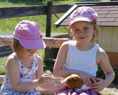 Streichelzoo auf dem Ferienhof Sinz