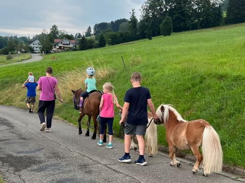 Ponyreiten auf dem Ferienhof Sinz