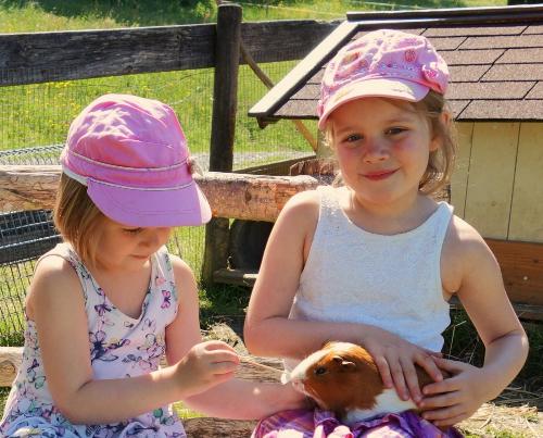 Meerschweinchen Streicheln - Ferienhof Sinz