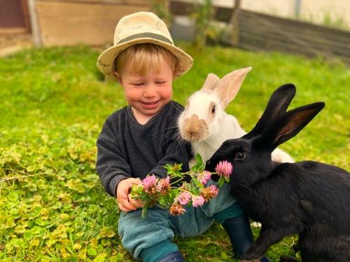 Kaninchen Füttern  - Ferienhof Sinz