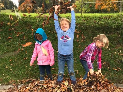 Spaß im Laub - Ferienhof Sinz