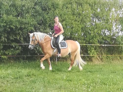 Reiten Reiten
