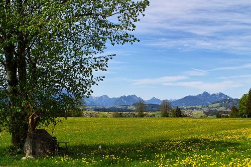 Urlaub im Allgäu