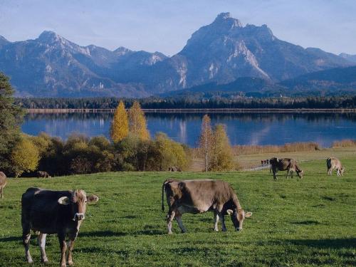 Unsere herrliche Panoramasicht