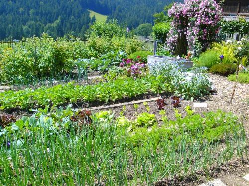 Bauerngarten
