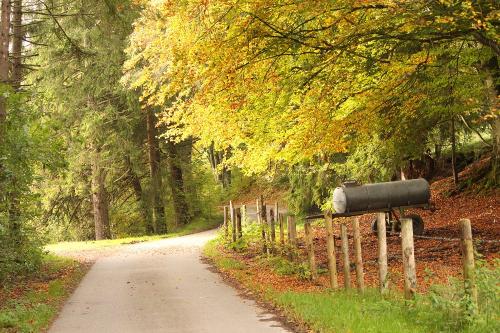 Herbststimmung Herbststimmung