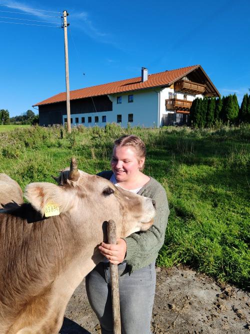 Besuch auf der Jungviehweide Besuch auf der Jungviehweide
