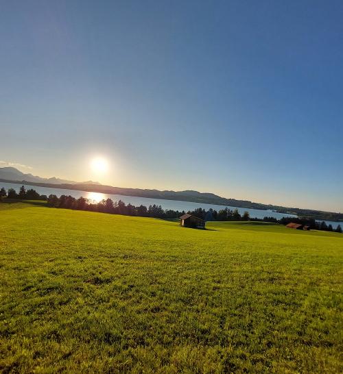 Forggensee am Abend