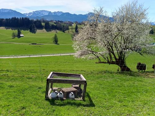 Frühlingserwachen in Ostern Frühlingserwachen in Ostern